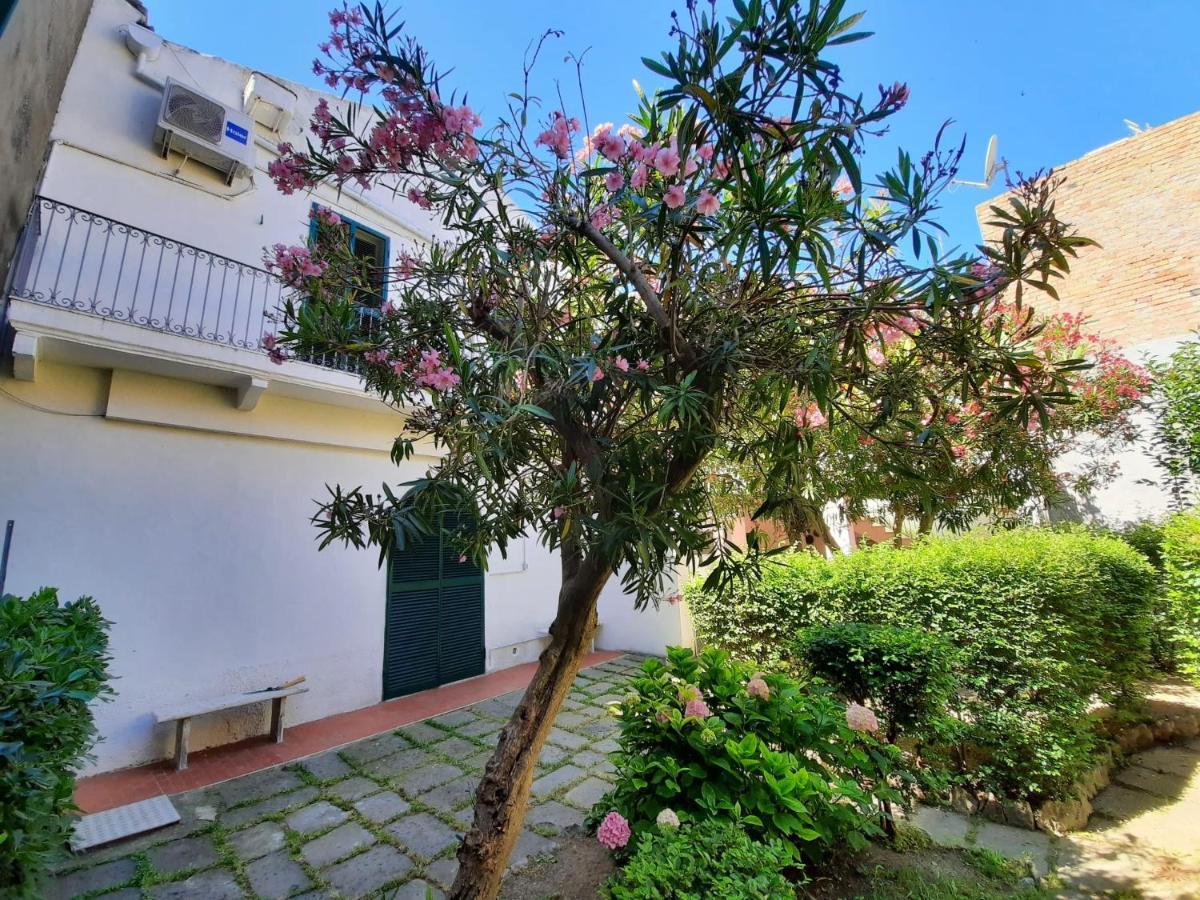 Il Giardino Nascosto *