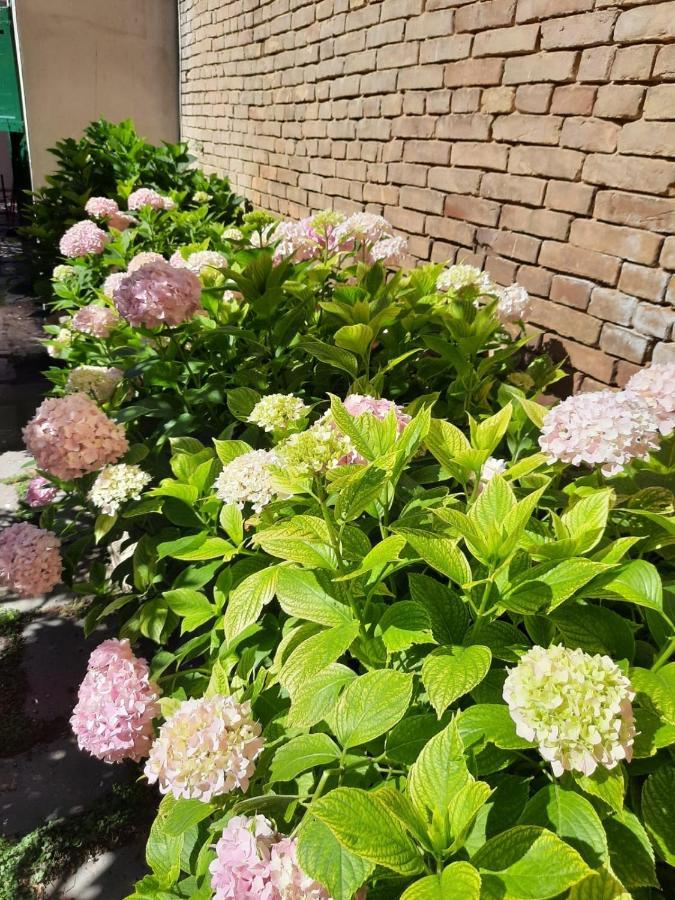 Il Giardino Nascosto Bed & Breakfast